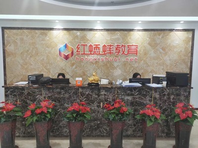 紅蟋蟀教育發展歷程 探索教育咨詢的創新之路